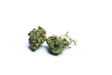 Kurutulmuş marijuana. Uyuşturucu bağımlılığı kavramı. Tıbbi esrar kavramı 