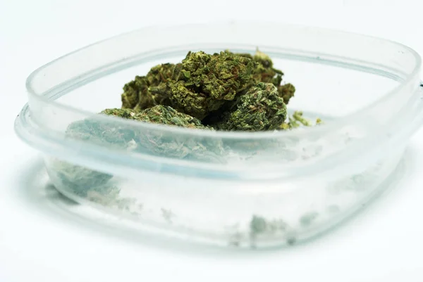Plastik Konteynırda Kurutulmuş Marijuana Uyuşturucu Bağımlılığı Kavramı Tıbbi Esrar Kavramı — Stok fotoğraf