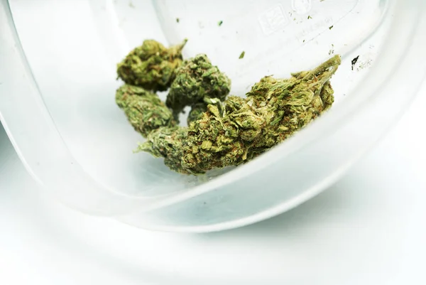 Gedroogde Marihuana Plastic Container Drugsverslaving Concept Medisch Marihuana Concept — Stockfoto