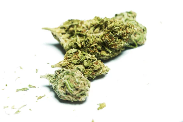 Marihuana Seca Concepto Drogadicción Concepto Marihuana Medicinal — Foto de Stock