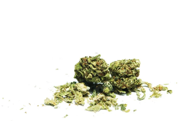 Marihuana Seca Concepto Drogadicción Concepto Marihuana Medicinal — Foto de Stock