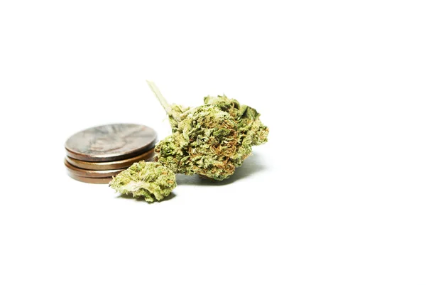 大麻与货币硬币孤立在白色背景 — 图库照片