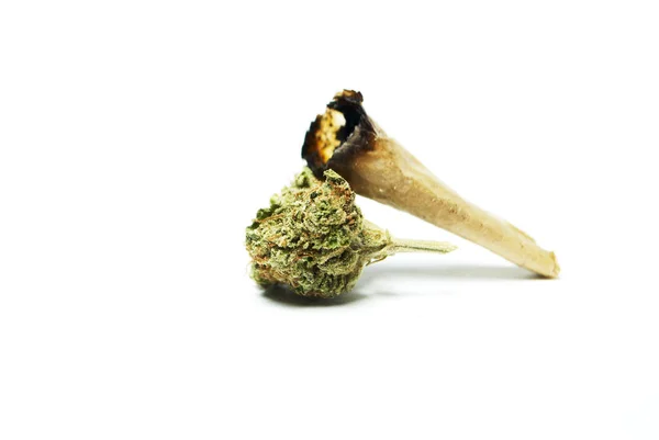 Narkotyki Marihuany Izolowane Białym Tle — Zdjęcie stockowe