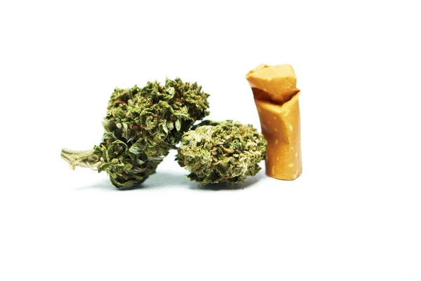 Getrocknetes Marihuana Und Zigarettenfilter Drogenabhängigkeit Medizinisches Marihuana Konzept — Stockfoto