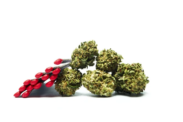 Gedroogde Marihuana Wedstrijden Drugsverslaving Concept Medisch Marihuana Concept — Stockfoto