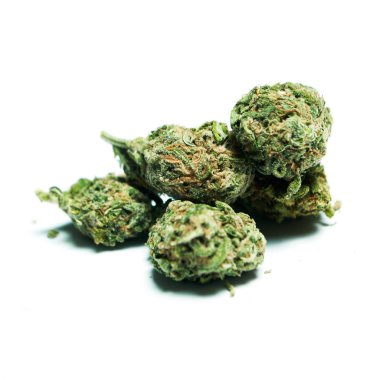 Kurutulmuş marijuana. Uyuşturucu bağımlılığı kavramı. Tıbbi esrar kavramı 