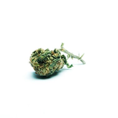 Kurutulmuş marijuana. Uyuşturucu bağımlılığı kavramı. Tıbbi esrar kavramı 