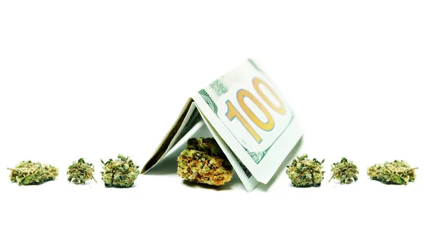 Marihuana en geld — Stockfoto