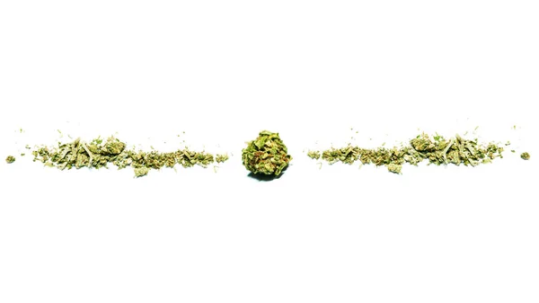 Marijuana Séchée Concept Toxicomanie Concept Marijuana Médicale — Photo