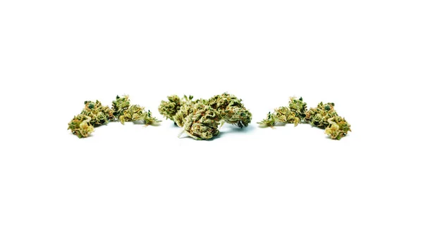 Kurutulmuş Marijuana Uyuşturucu Bağımlılığı Kavramı Tıbbi Esrar Kavramı — Stok fotoğraf
