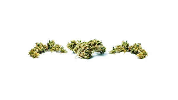 Marihuana Seca Concepto Drogadicción Concepto Marihuana Medicinal — Foto de Stock