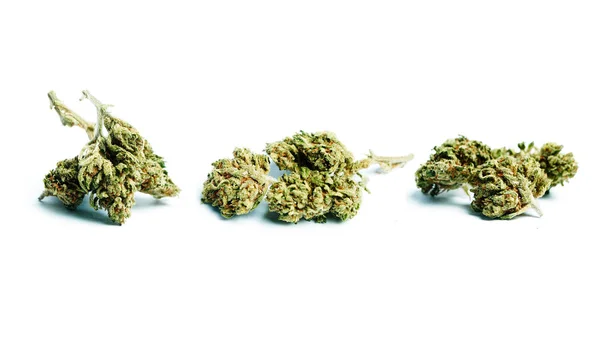 Sušená Marihuana Koncept Drogové Závislosti Koncepce Lékařské Marihuany — Stock fotografie