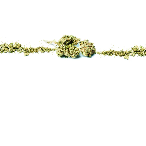 Gedroogde Marihuana Drugsverslaving Concept Medisch Marihuana Concept — Stockfoto