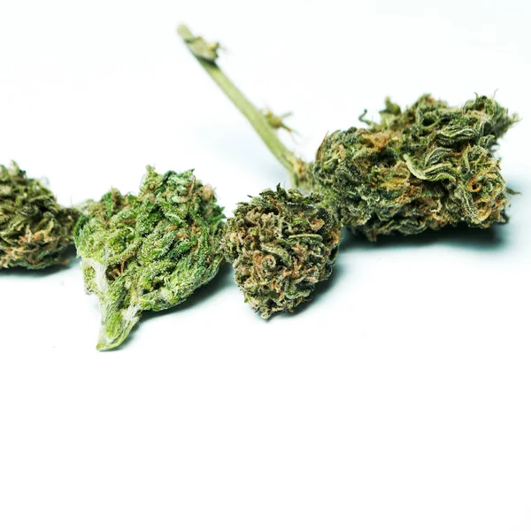 Marihuana Seca Concepto Drogadicción Concepto Marihuana Medicinal — Foto de Stock