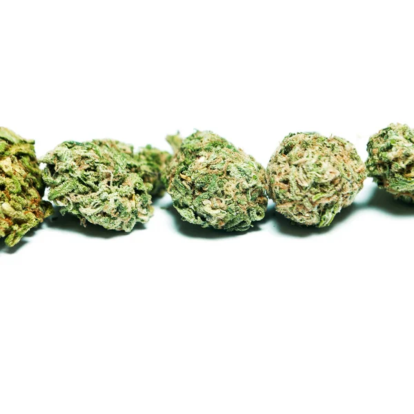 Marihuana Seca Concepto Drogadicción Concepto Marihuana Medicinal — Foto de Stock