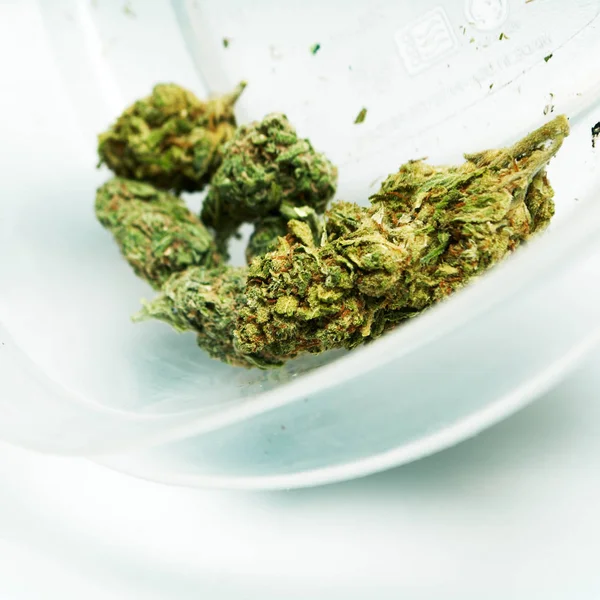 Marihuana Seca Concepto Drogadicción Concepto Marihuana Medicinal — Foto de Stock