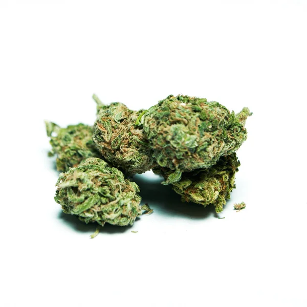 Marihuana Seca Concepto Drogadicción Concepto Marihuana Medicinal — Foto de Stock