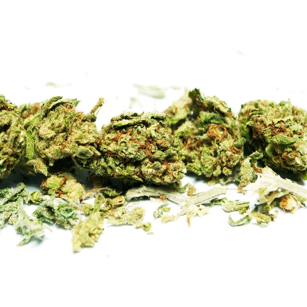 Marihuana Seca Concepto Drogadicción Concepto Marihuana Medicinal — Foto de Stock