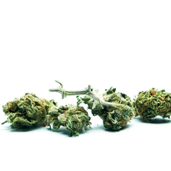 Marihuana Getrocknet Drogenabhängigkeit Medizinisches Marihuana Konzept — Stockfoto
