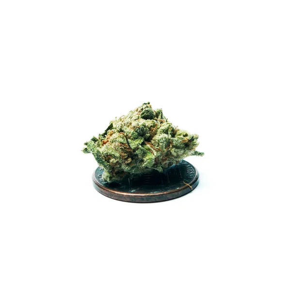 Marihuana Mit Geldmünzen Isoliert Auf Weißem Hintergrund — Stockfoto