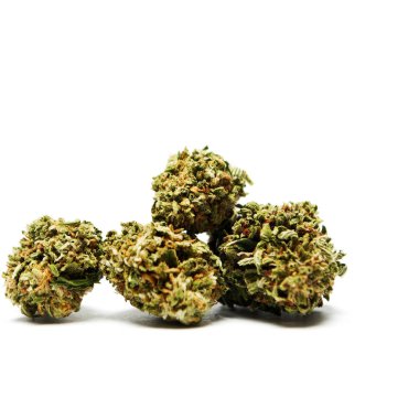 Kurutulmuş marijuana. Uyuşturucu bağımlılığı kavramı. Tıbbi esrar kavramı 