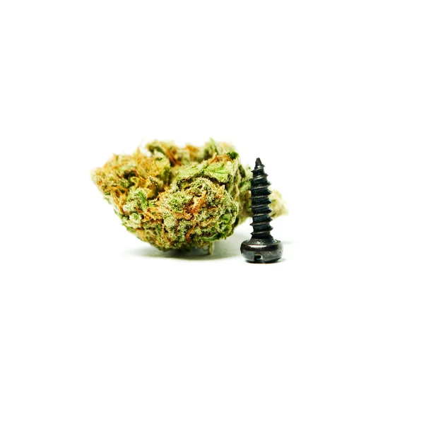 Marijuana Estúdio Drogas Cannabis Ainda Vida — Fotografia de Stock