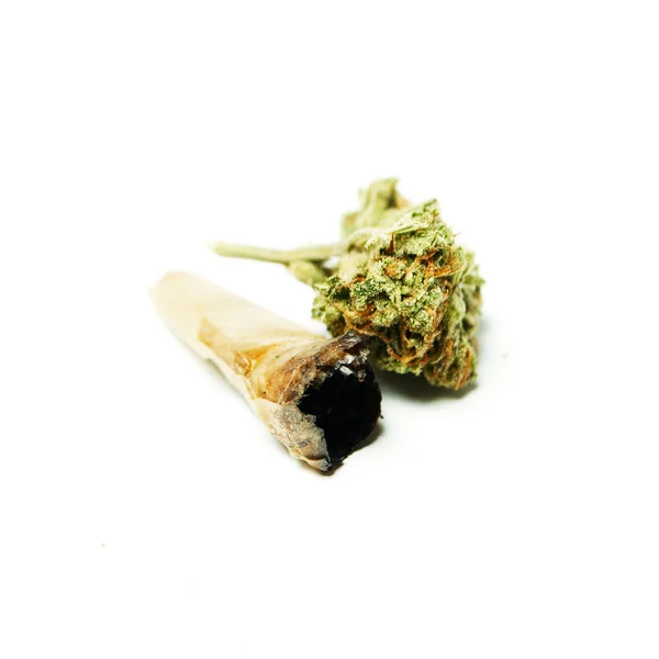 Drogas Marihuana Aisladas Sobre Fondo Blanco — Foto de Stock