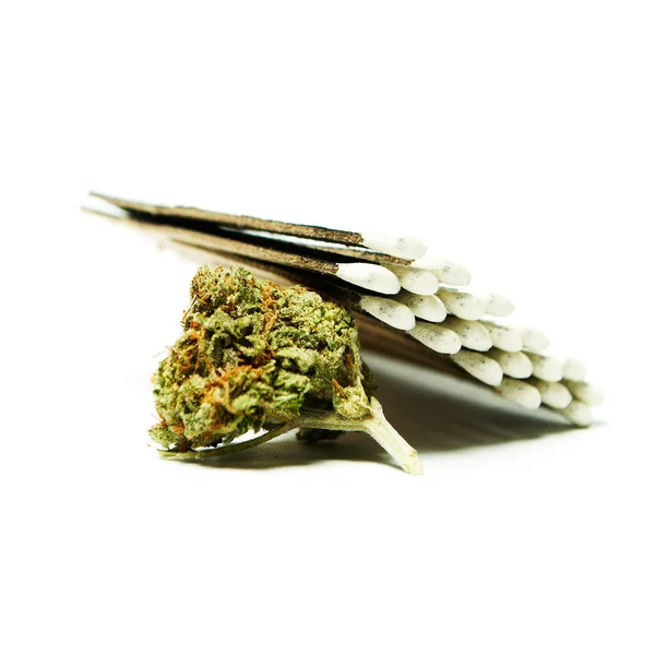 Gedroogde Marihuana Wedstrijden Drugsverslaving Concept Medisch Marihuana Concept — Stockfoto