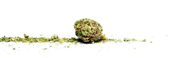 Marihuana Seca Concepto Drogadicción Concepto Marihuana Medicinal — Foto de Stock