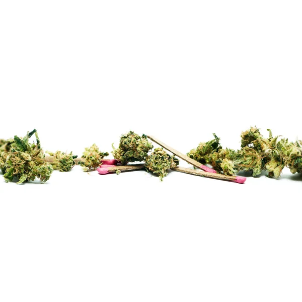 Marihuana Cannabis Cartel Conceptual Drogas Salud — Foto de Stock
