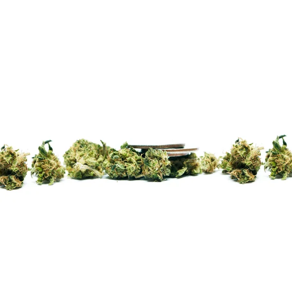 Gedroogde Marihuana Wedstrijden Drugsverslaving Concept Medisch Marihuana Concept — Stockfoto