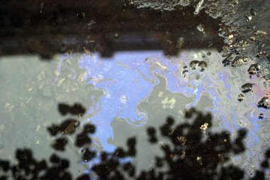 Yansıma ile yağmur dan sonra ıslak asfalt yol