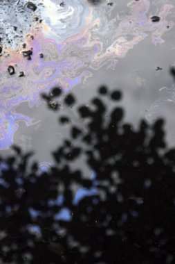 Yansıma ile yağmur dan sonra ıslak asfalt yol