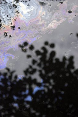 Yansıma ile yağmur dan sonra ıslak asfalt yol