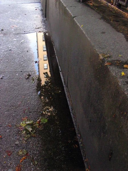 Wet Asphalt Road Rain Reflection — Stock Photo, Image