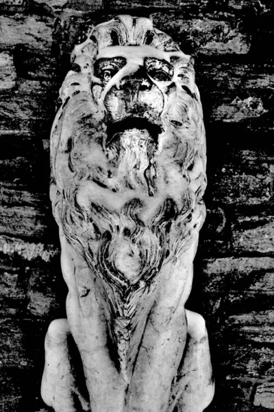 Statue Lion Sur Fond Grunge — Photo