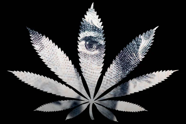 Marijuana Cannabis Leaf Con Banconote Dollari All Interno — Foto Stock