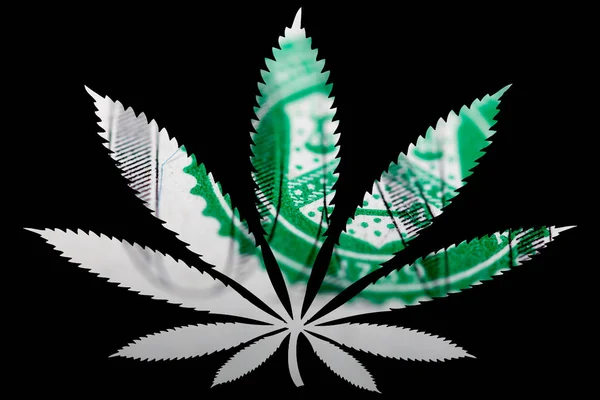 Marihuána Cannabis Levél Dollár Bankjegy Belsejében — Stock Fotó
