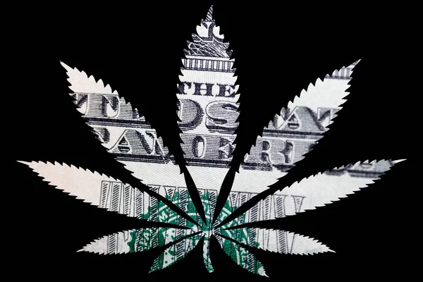 Marijuana Cannabis Leaf Con Banconote Dollari All Interno — Foto Stock