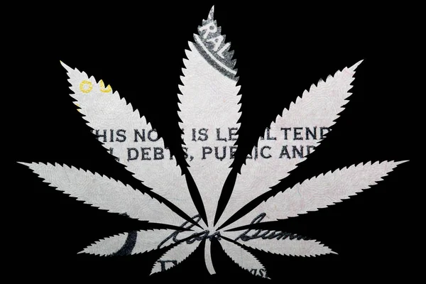 Marihuana Hoja Cannabis Con Billete Dólar Interior — Foto de Stock