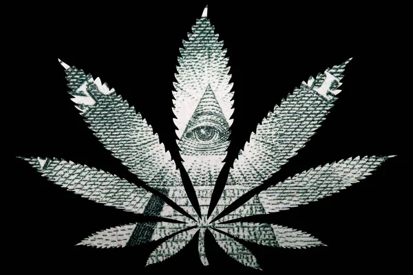 大麻大麻叶与美元钞票里面 — 图库照片