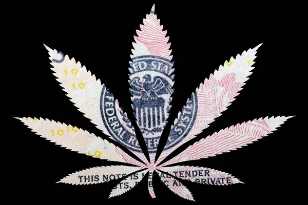 Folha Cannabis Maconha Com Nota Dólar Interior — Fotografia de Stock