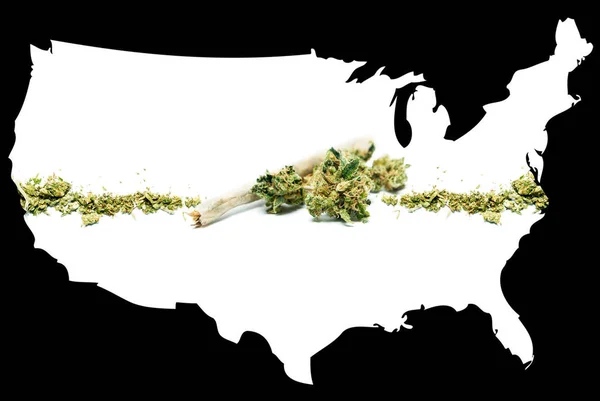 Rettslig marihuana i USA – stockfoto