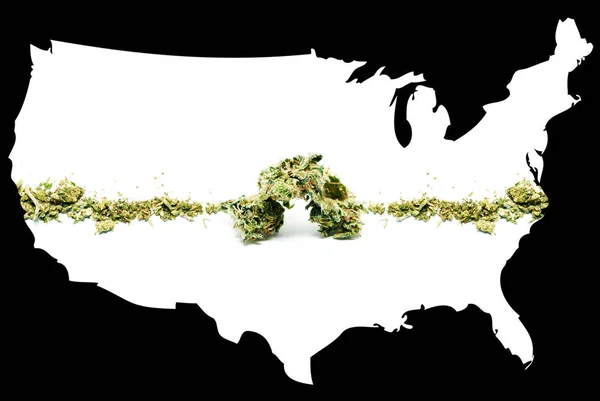 Rettslig marihuana i USA – stockfoto