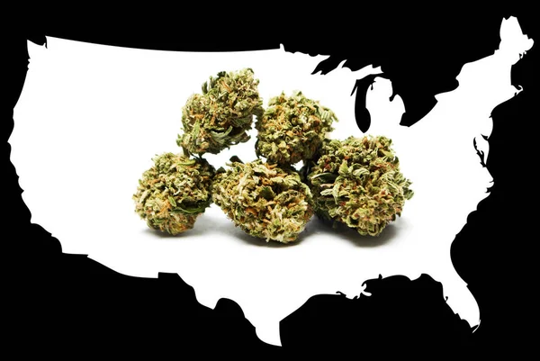 Marijuana legale negli Stati Uniti d'America — Foto Stock