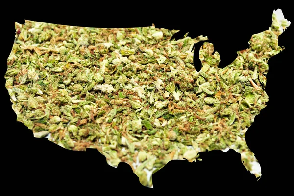 Marijuana legale negli Stati Uniti d'America — Foto Stock