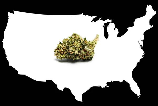 Marijuana légale aux États-Unis d'Amérique — Photo