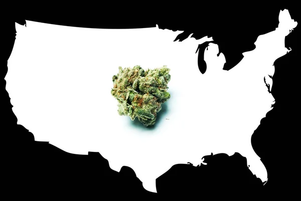 Marijuana legale negli Stati Uniti d'America — Foto Stock