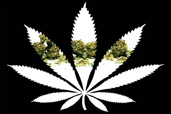 Marijuana Leaf Silhouette Svart Bakgrund — Stockfoto