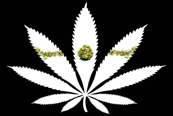 Marihuana Blatt Silhouette Auf Schwarzem Hintergrund — Stockfoto